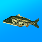True Fishing icon