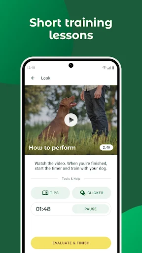 Dogo screenshot 5