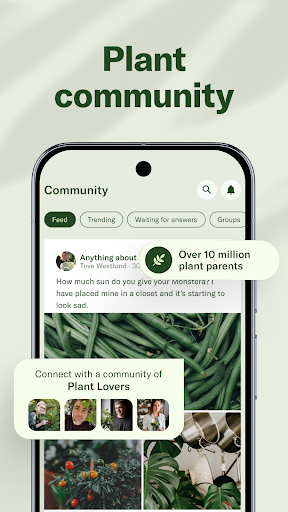 Planta screenshot 6