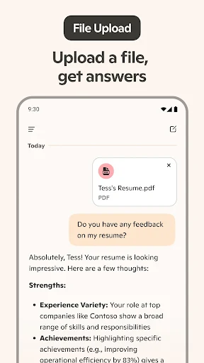 Microsoft Copilot screenshot 8