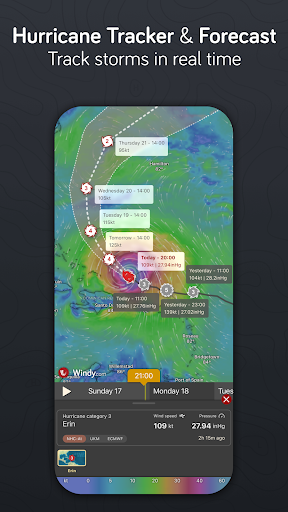 Windy.com screenshot 5
