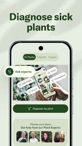 Planta screenshot 5