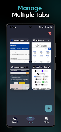 Aloha Browser screenshot 6