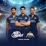 Real Cricket 24 icon
