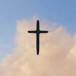 Bible Widgets icon
