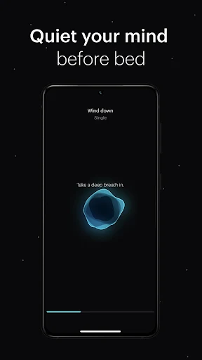Balance screenshot 7