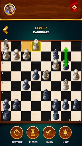 Chess – Offline Board Game screenshot 5