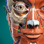 Anatomy Learning icon