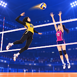 VolleyBall King icon