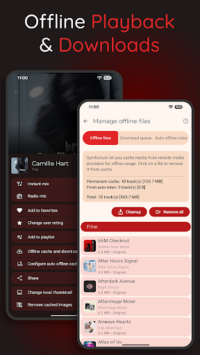 Symfonium screenshot 6