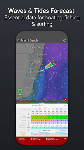 Windy.com screenshot 7