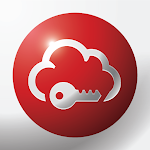 Password Manager SafeInCloud Pro icon
