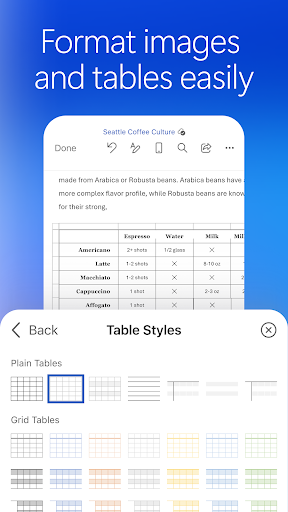 Microsoft Word screenshot 4
