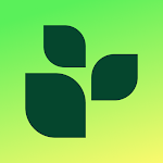 Lifesum icon