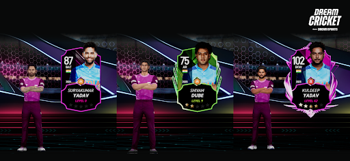 Dream Cricket 2025 screenshot 8
