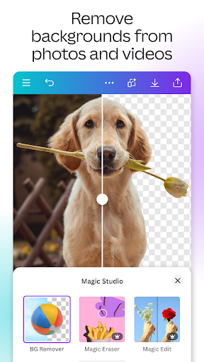 Canva screenshot 6