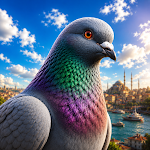 Pigeon Paradise icon
