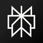 Perplexity icon